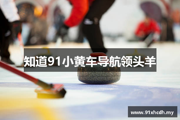 知道91小黄车导航领头羊